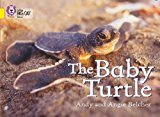 Book The Baby Turtle (Collins Big Cat) free