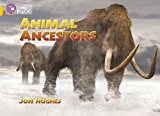 Book Animal Ancestors (Collins Big Cat) free