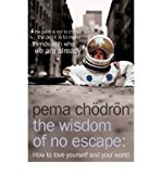 Book The Wisdom of No Escape and the Path of Loving Kindness : How to Love Yourself and Your World free