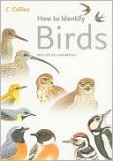 Book How to Identify Birds free