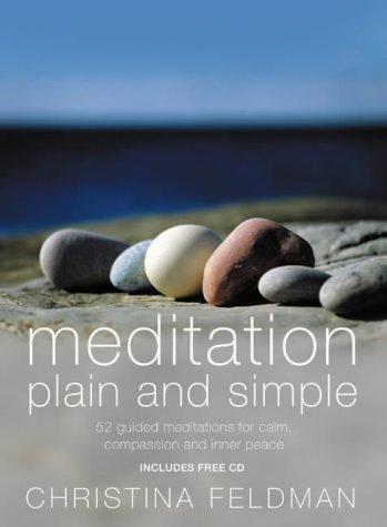 Book Meditation Plain and Simple free