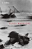 Book Glass Warriors: The Camera at War free
