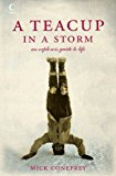Book A Teacup in a Storm free