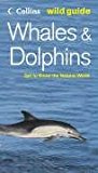Book Whales and Dolphins (Collins Wild Guide) free