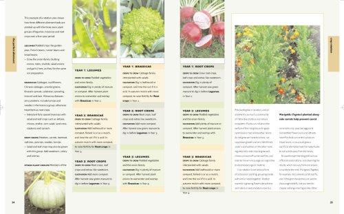 Book The allotment book free Book The allotment book free