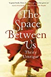 Book The Space Between Us free