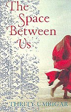 Book The Space Between Us free
