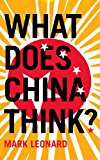 Book What Does China Think? free