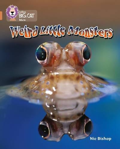 Book Weird Little Monsters (Collins Big Cat) free