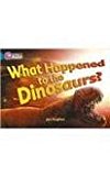 Book What Happened to the Dinosaurs? (Collins Big Cat) free