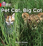 Book Pet Cat, Big Cat (Collins Big Cat Phonics) free
