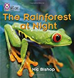 Book The Rainforest at Night (Collins Big Cat Phonics) free