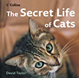 Book The Secret Life of Cats free