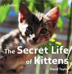 Book The Secret Life of Kittens free