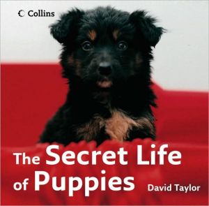 Book The Secret Life Of Puppies free