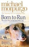 Book Born to Run free