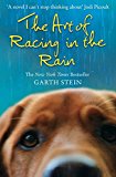 Book the art of racing in the rain: a novel. garth stein free