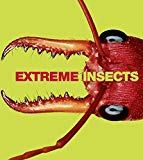 Book Extreme Insects free