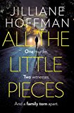 Book All the Little Pieces free