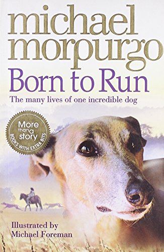 Book Born To Run (collector's Edition) free
