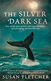 Book The Silver Dark Sea free
