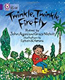 Book Twinkle, Twinkle, Firefly (Collins Big Cat) free