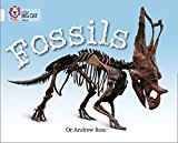 Book Fossils (Collins Big Cat) free