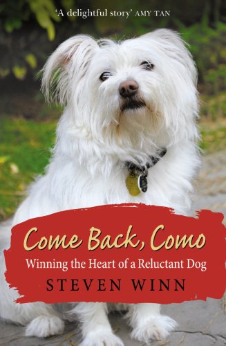 Book Come Back, Como free
