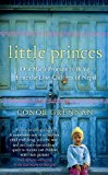 Book Little Princes: One Man's Promise to Bring Home the Lost Children of Nepal free