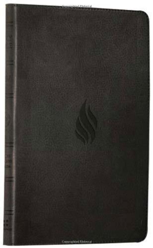 Book Holy Bible: English Standard Version (ESV): English Standard Version (ESV) Anglicised Thinline Midnight Flame Edition free