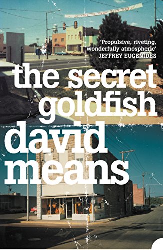 Book The Secret Goldfish free