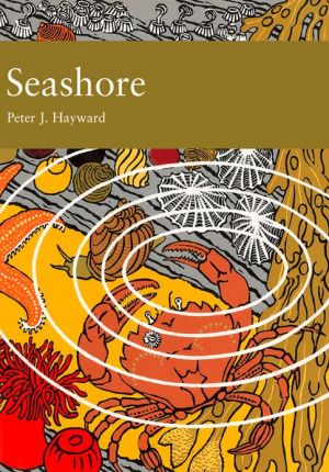 Book Seashore (collins New Naturalist Library, Book 94) free