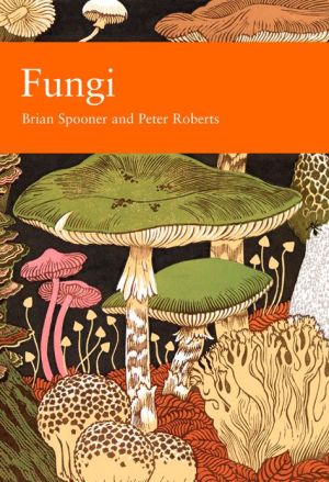 Book Fungi (Collins New Naturalist Library, Book 96) free