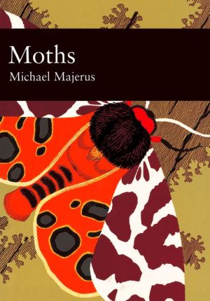 Book Moths (Collins New Naturalist Library, Book 90) free
