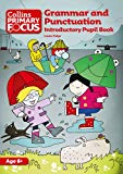 Book Grammar and Punctuation: Introductory Pupil Book (Collins Primary Focus) free