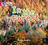 Book In the Forest (Collins Big Cat) free