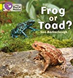 Book Frog or Toad? (Collins Big Cat Phonics) free