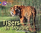 Book Tigers in Trouble (Collins Big Cat Progress) free