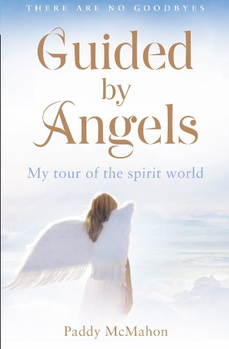 Book Guided By Angels: There Are No Goodbyes, My Tour of the Spirit World free