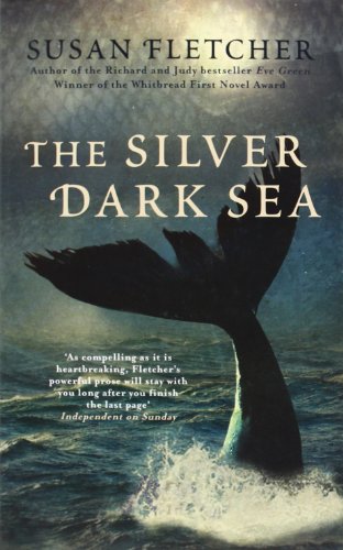Book The Silver Dark Sea free