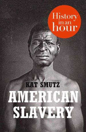 Book American Slavery: History in an Hour free