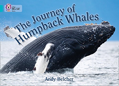 Book The Journey of Humpback Whales (Collins Big Cat) free