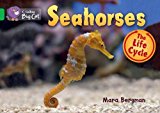 Book Seahorses (Collins Big Cat) free