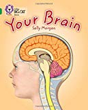 Book Your Brain (Collins Big Cat) free
