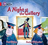 Book A Night At The Gallery Workbook (collins Big Cat) free