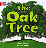 Book The Oak Tree Workbook (collins Big Cat) free