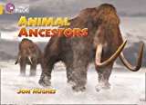 Book Animal Ancestors Workbook (collins Big Cat) free