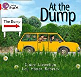 Book At The Dump Workbook (collins Big Cat) free