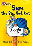 Book Sam The Big, Bad Cat Workbook (collins Big Cat) free