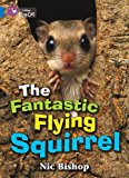 Book The Fantastic Flying Squirrel (collins Big Cat) free